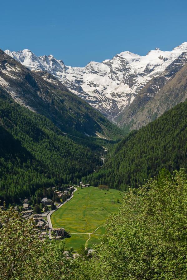 Nido Delle Aquile Daire Cogne Dış mekan fotoğraf