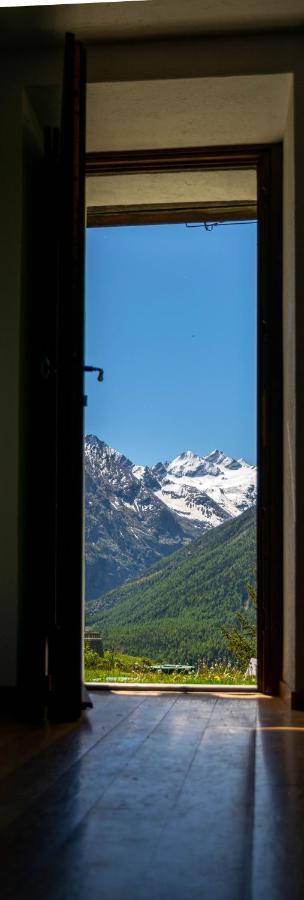 Nido Delle Aquile Daire Cogne Dış mekan fotoğraf
